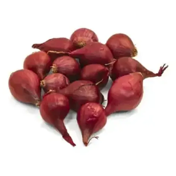 Pearl Onion