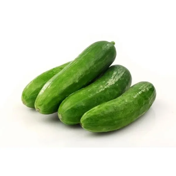 Small Cucumber — 1 lb