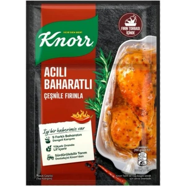 KNORR Hot Spicy Seasoning 31 gm