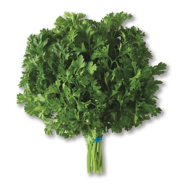 Fresh Curly Leaf Parsley, Each