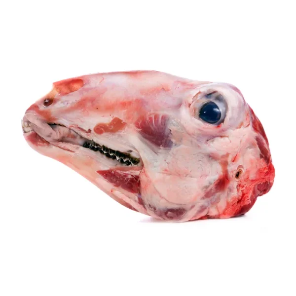 Goat Head (Each)