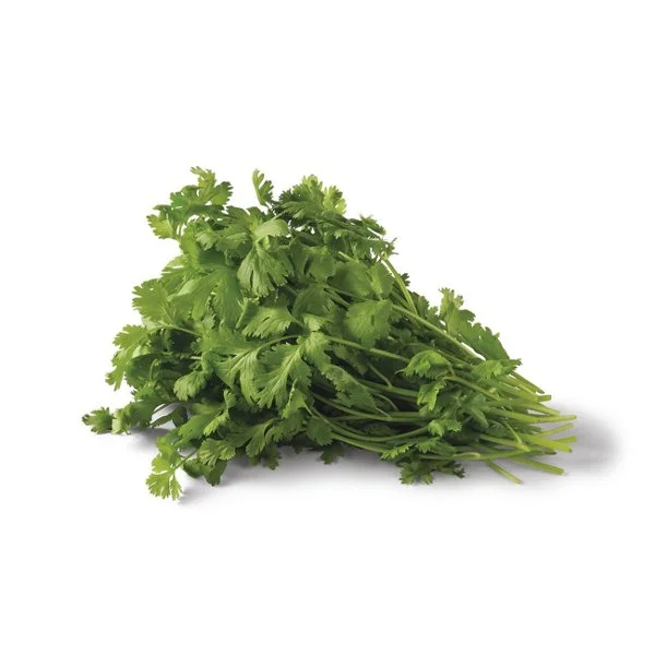 Fresh Organic Cilantro, Each