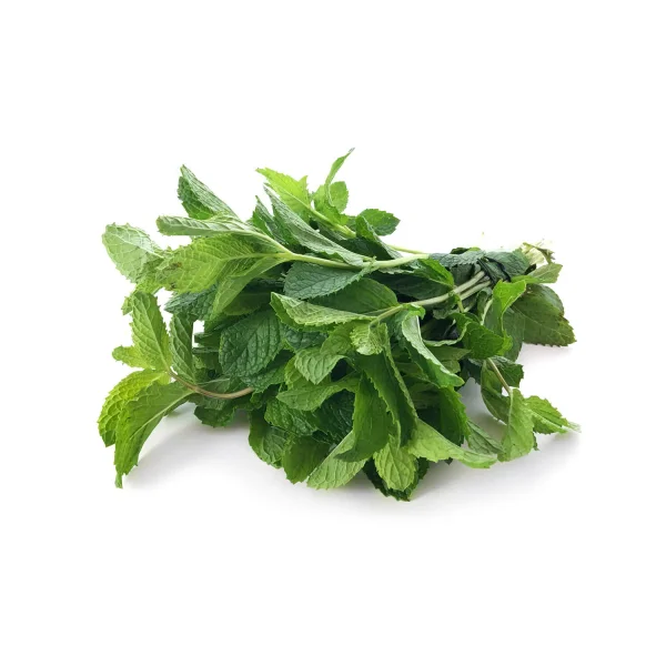 Fresh Mint – (Each Tray / Bunch)