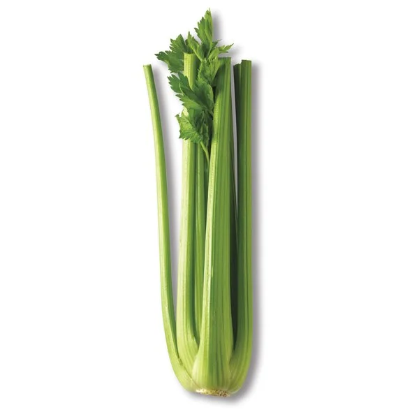 Fresh Celery Stalk, Each