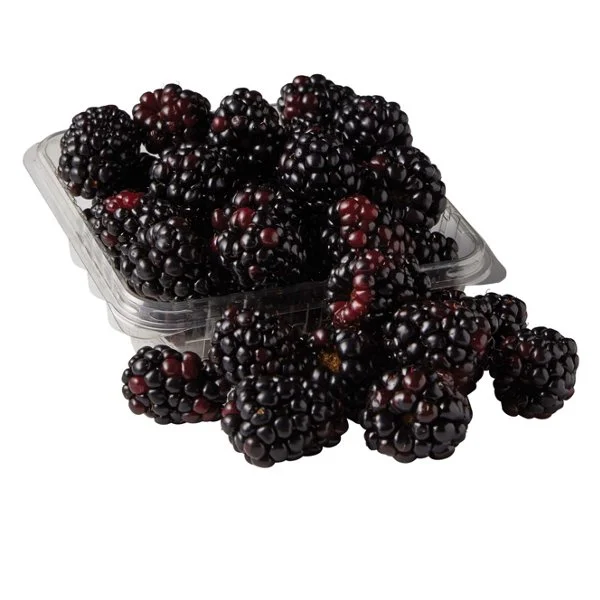 Fresh Organic Blackberries, 6 oz