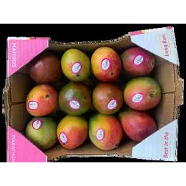 MARATHON Haden Mangoes 12 CT