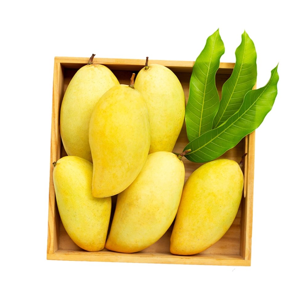 Fresh Pakistani Mangoes