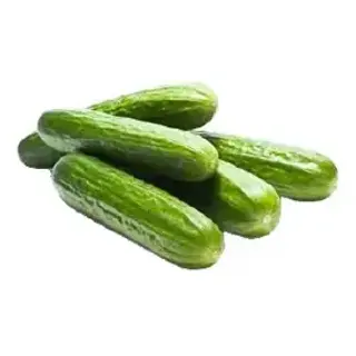 Cucumber Persian