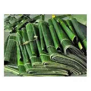 Banana Leaves Case