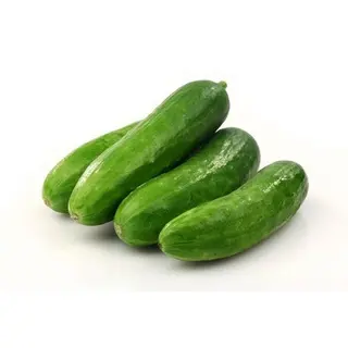 Small Cucumber — 1 lb