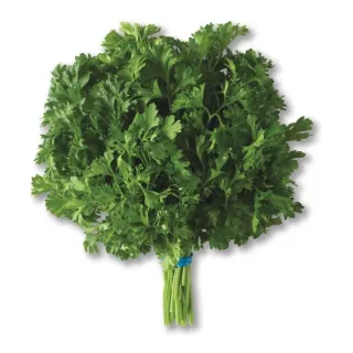 Fresh Curly Leaf Parsley, Each
