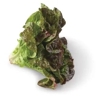 Fresh Red Leaf Lettuce, Each