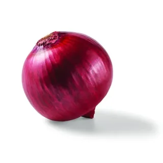 Fresh Red Onion, Avg. 1.0 lb