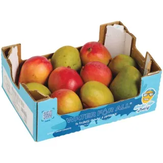 Fresh Mangos, 1 case