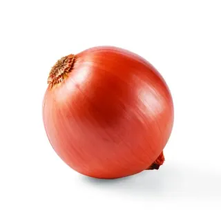 Fresh Yellow Onion, Avg. 0.6 lb