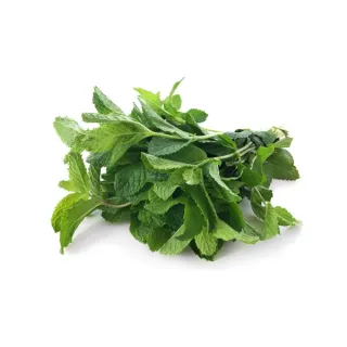 Fresh Mint – (Each Tray / Bunch)