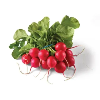 Fresh Red Radishes, Each