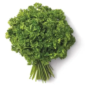 Fresh Organic Curly Leaf Parsley, Each