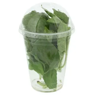 Fresh Aqua-dome Basil, Each