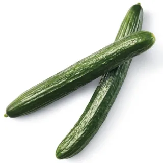 Fresh Seedless Cucumber, Each