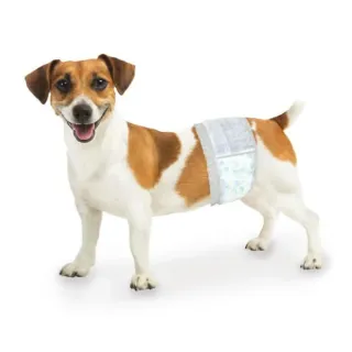 Four Paws Disposable Male Dog Wraps, XS