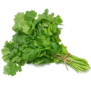 Fresh Cilantro (EA)