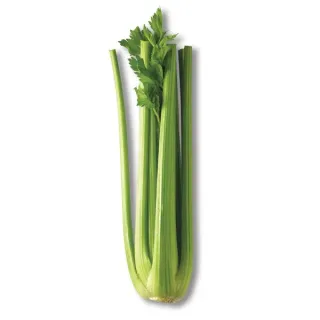 Fresh Celery Stalk, Each