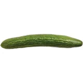 Fresh Organic Seedless Cucumber, Each
