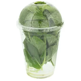 Fresh Aqua-dome Mint, Each