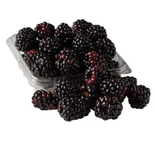Fresh Organic Blackberries, 6 oz