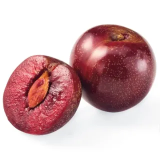 Fresh Red Plumcot, Avg. 0.395 lb