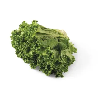 Fresh Organic Green Leaf Lettuce, Each
