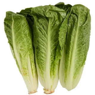 Fresh Romaine Lettuce Hearts, 3 pk